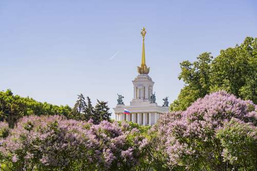 Павильон №1 «Центральный»