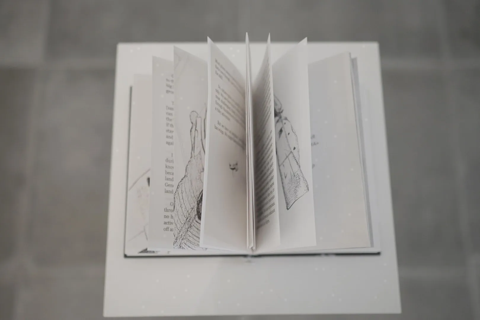 page-slider