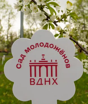 Сад молодоженов