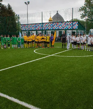 Комплекс открытых спортивных площадок