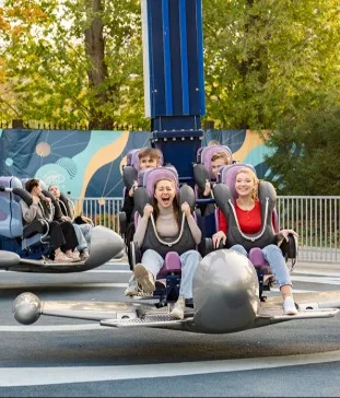 Развлечение