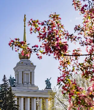 Пользовательское соглашение