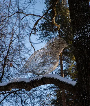 Арт-композиция «Птицы»