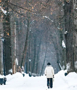 Спортивная аллея