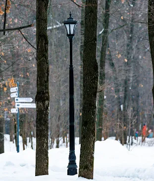 Липовая аллея