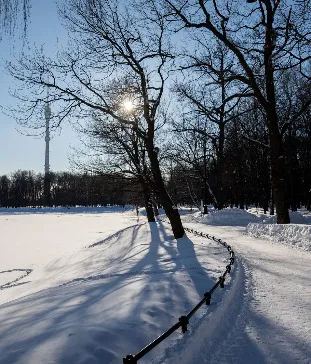 Садовый пруд