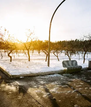 Большая картина полей